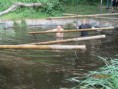 /album/team-uitje-sc-veluwezoom-za-2/img-2524-jpg/