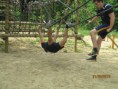 /album/team-uitje-sc-veluwezoom-za-2/img-2586-jpg/